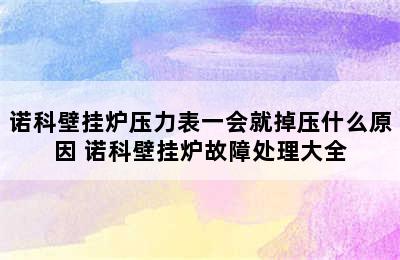 诺科壁挂炉压力表一会就掉压什么原因 诺科壁挂炉故障处理大全